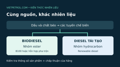 Minh họa hai nhánh nhiên liệu từ dầu và chất béo: biodiesel dạng ester và diesel tái tạo dạng hydrocarbon.